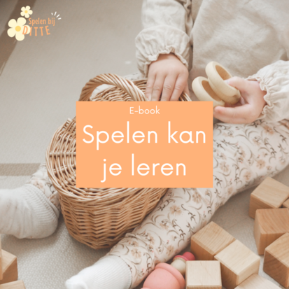 E-book | Spelen kan je leren!